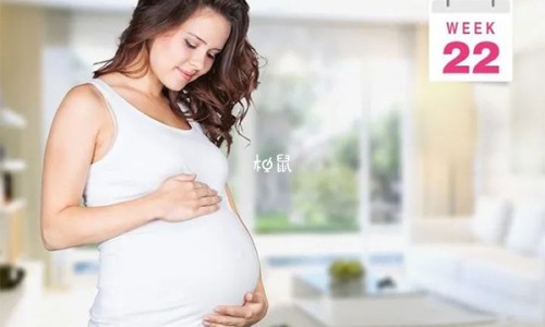 制川乌的用量 药典-中药制川乌图片网—知名的制川乌药材图片网站,分享中药川乌图片知识