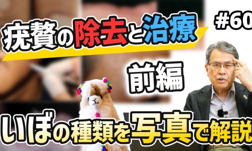 制川乌的性味归经与作用-中药制川乌图片网—知名的制川乌药材图片网站,分享中药川乌图片知识